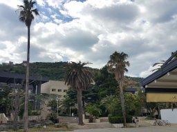 19275145_227949081057690_4866066732531420121_n